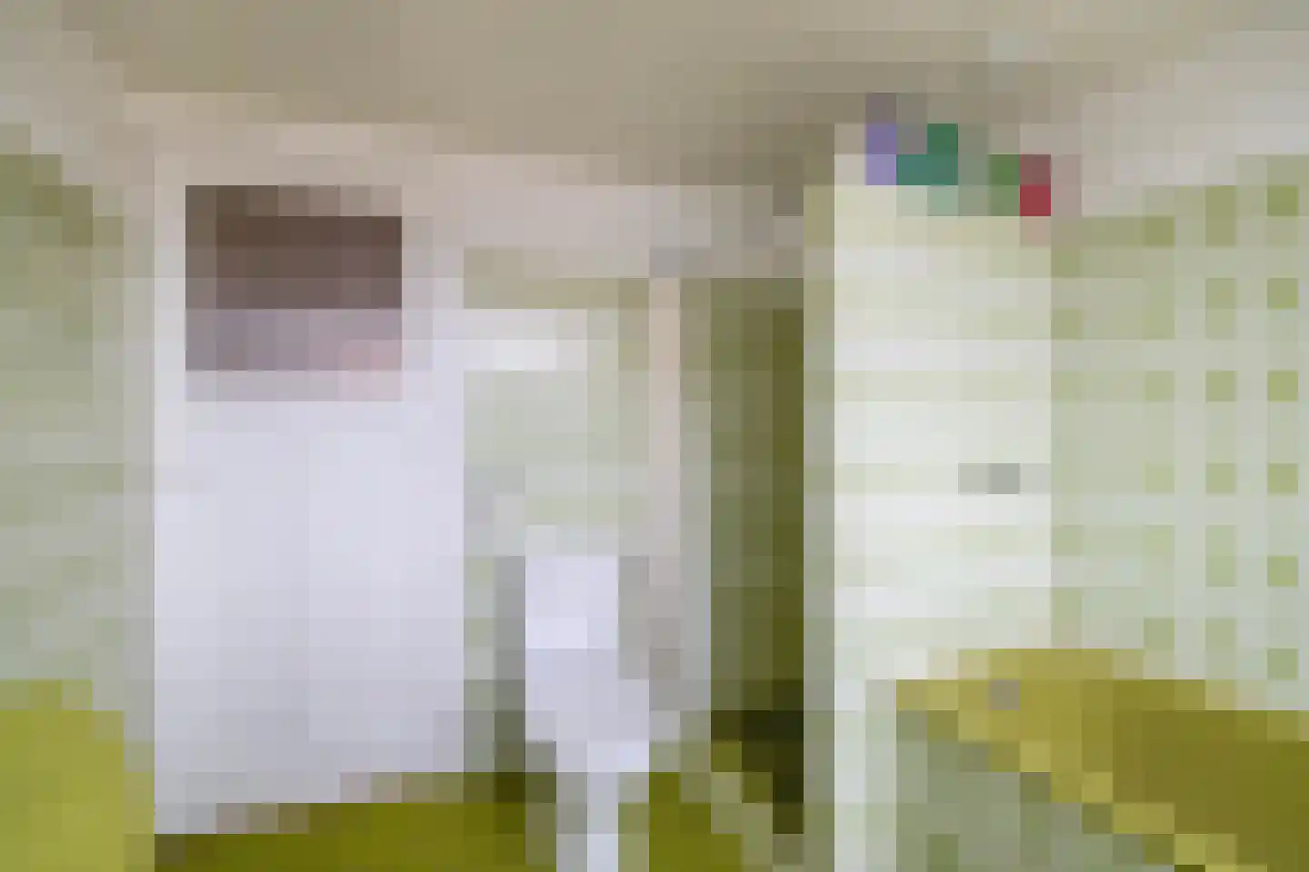 Prins Hendrikstraat 8 Lisse thumbnail 16