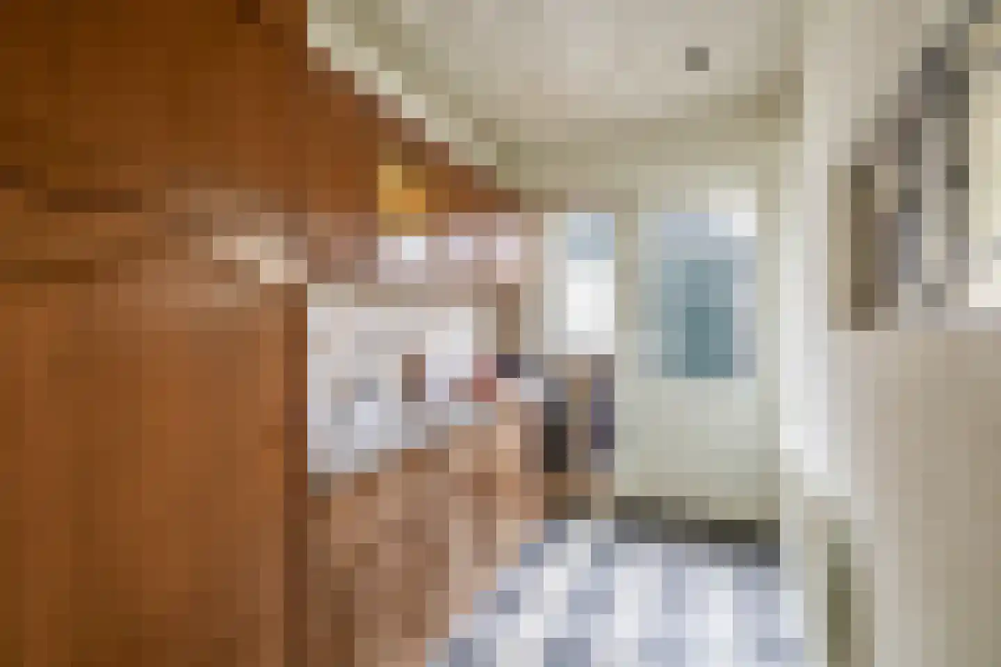 Prins Hendrikstraat 8 Lisse thumbnail 8