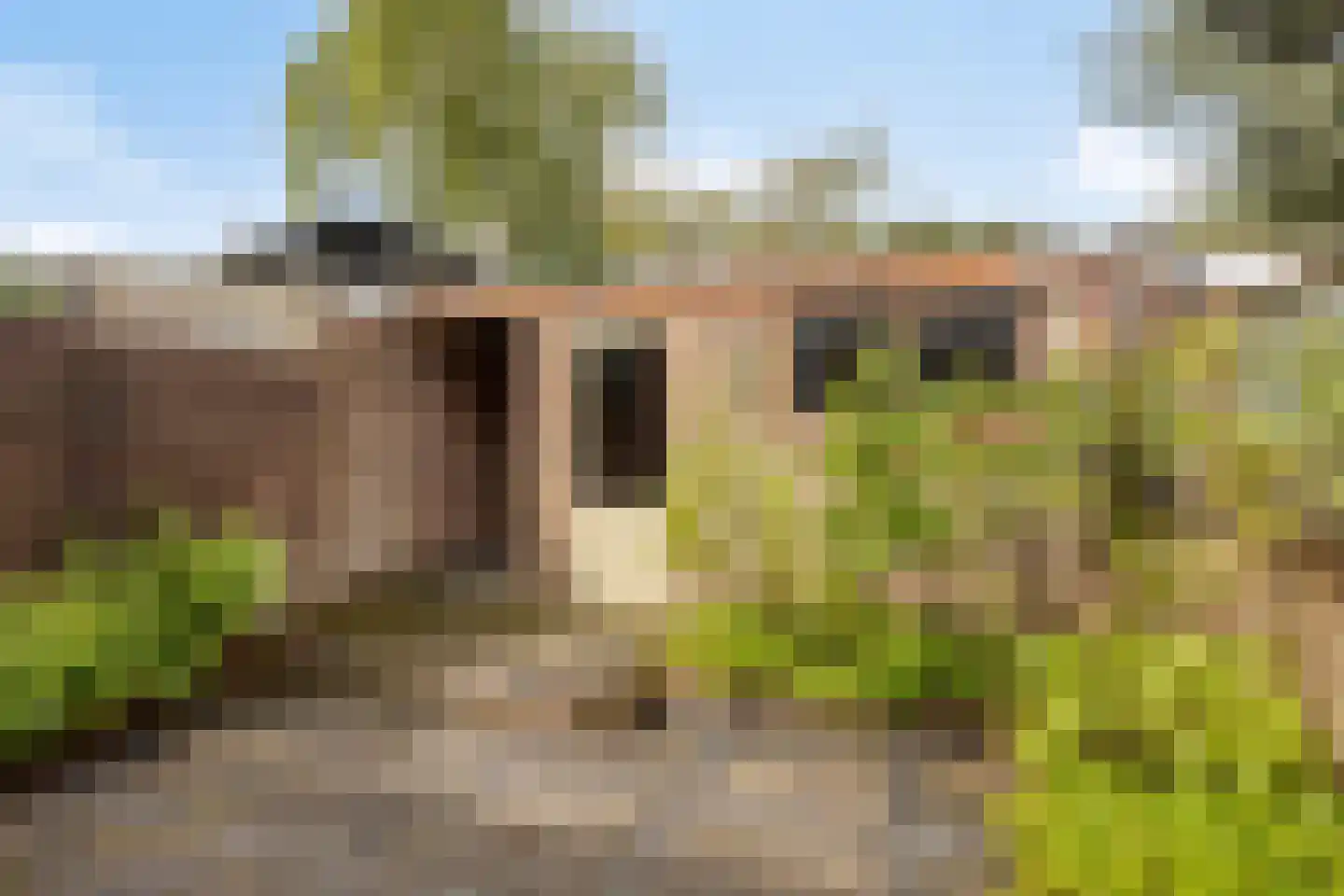 Prins Hendrikstraat 8 Wateringen thumbnail 13