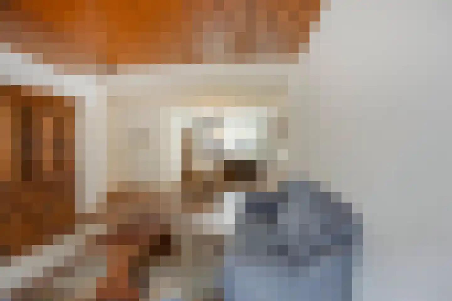Prins Hendrikstraat 8 Wateringen thumbnail 7