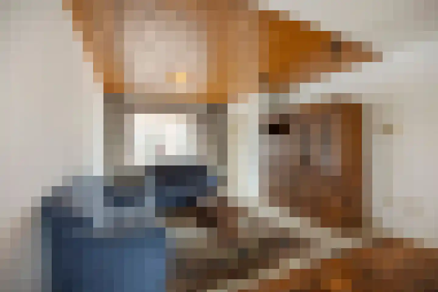 Prins Hendrikstraat 8 Wateringen thumbnail 9