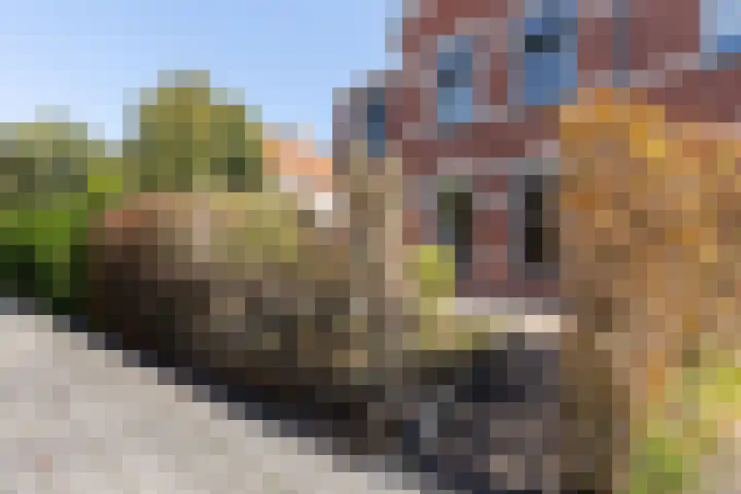 Prins Hendrikstraat 8 Winterswijk thumbnail 4