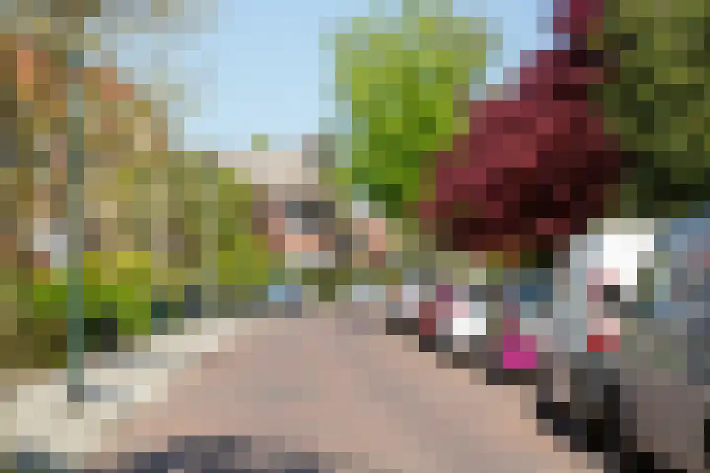 Prins Hendrikstraat 8 Winterswijk thumbnail 49