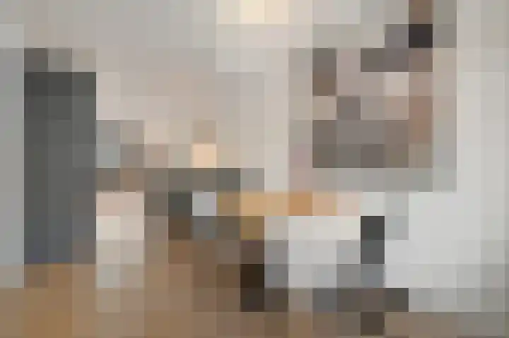 Prins Hendrikstraat 88 Voorburg thumbnail 6