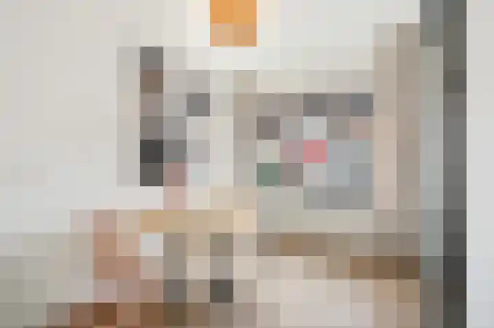 Prins Hendrikstraat 88 Voorburg thumbnail 7