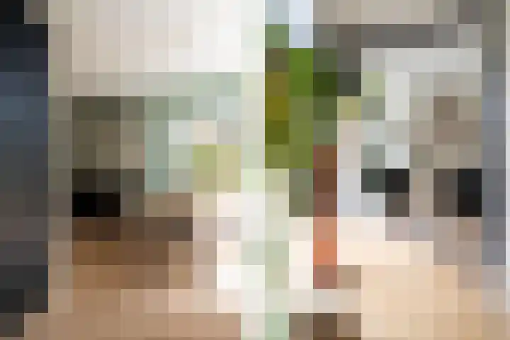 Prins Hendrikstraat 9 Beilen thumbnail 15