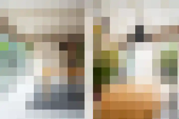 Prins Hendrikstraat 9 Beilen thumbnail 17