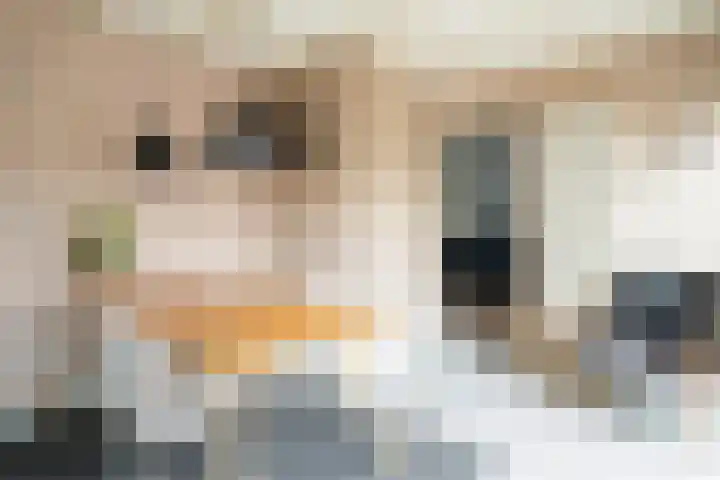 Prins Hendrikstraat 9 Beilen thumbnail 18