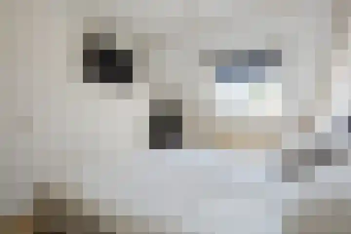Prins Hendrikstraat 9 Beilen thumbnail 35