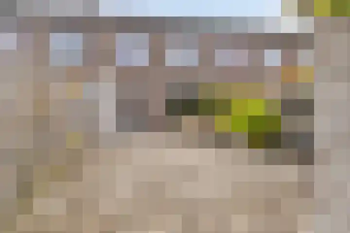 Prins Hendrikstraat 9 Beilen thumbnail 8