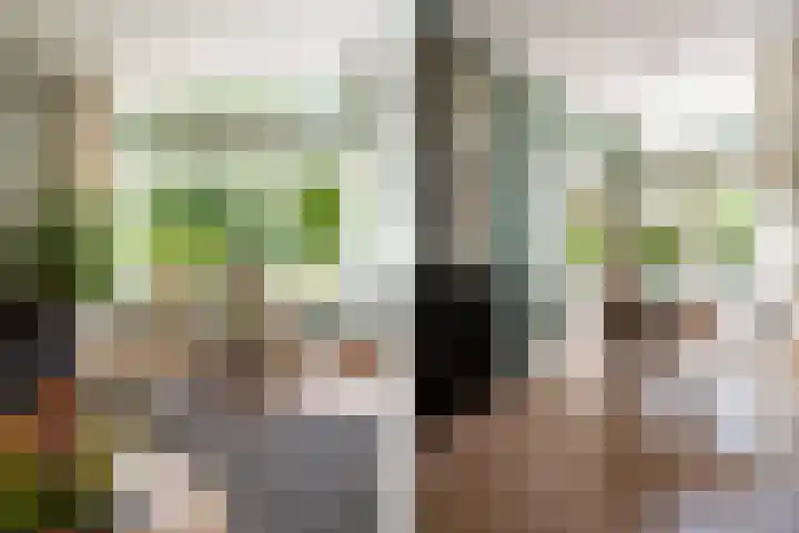 Prins Hendrikstraat 9 Beilen thumbnail 9