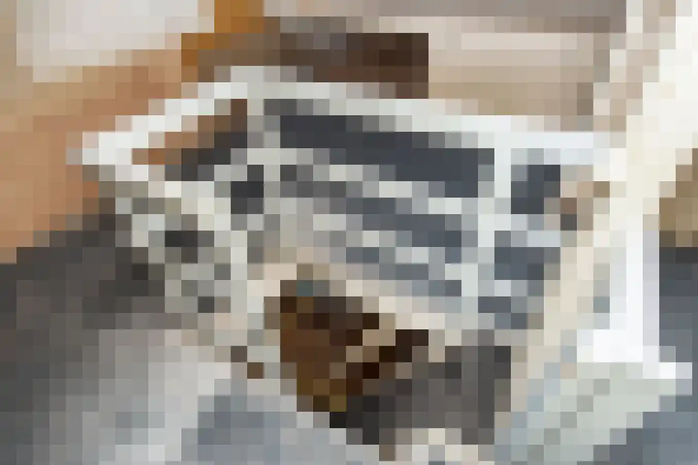 Prins Hendrikstraat 9 Voorburg thumbnail 22