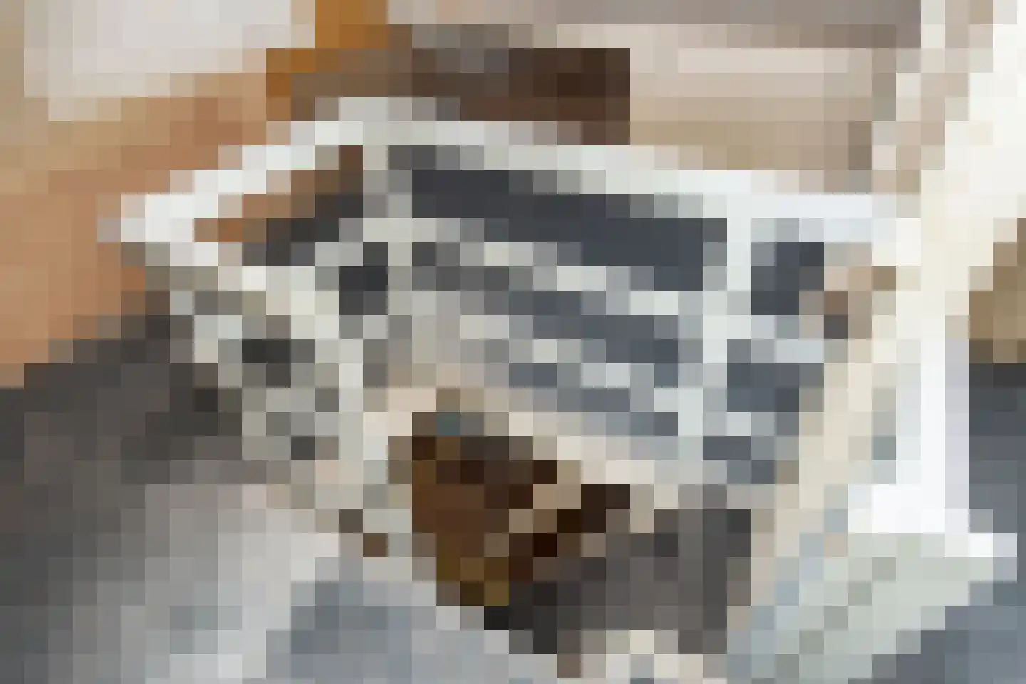Prins Hendrikstraat 9 Voorburg thumbnail 23
