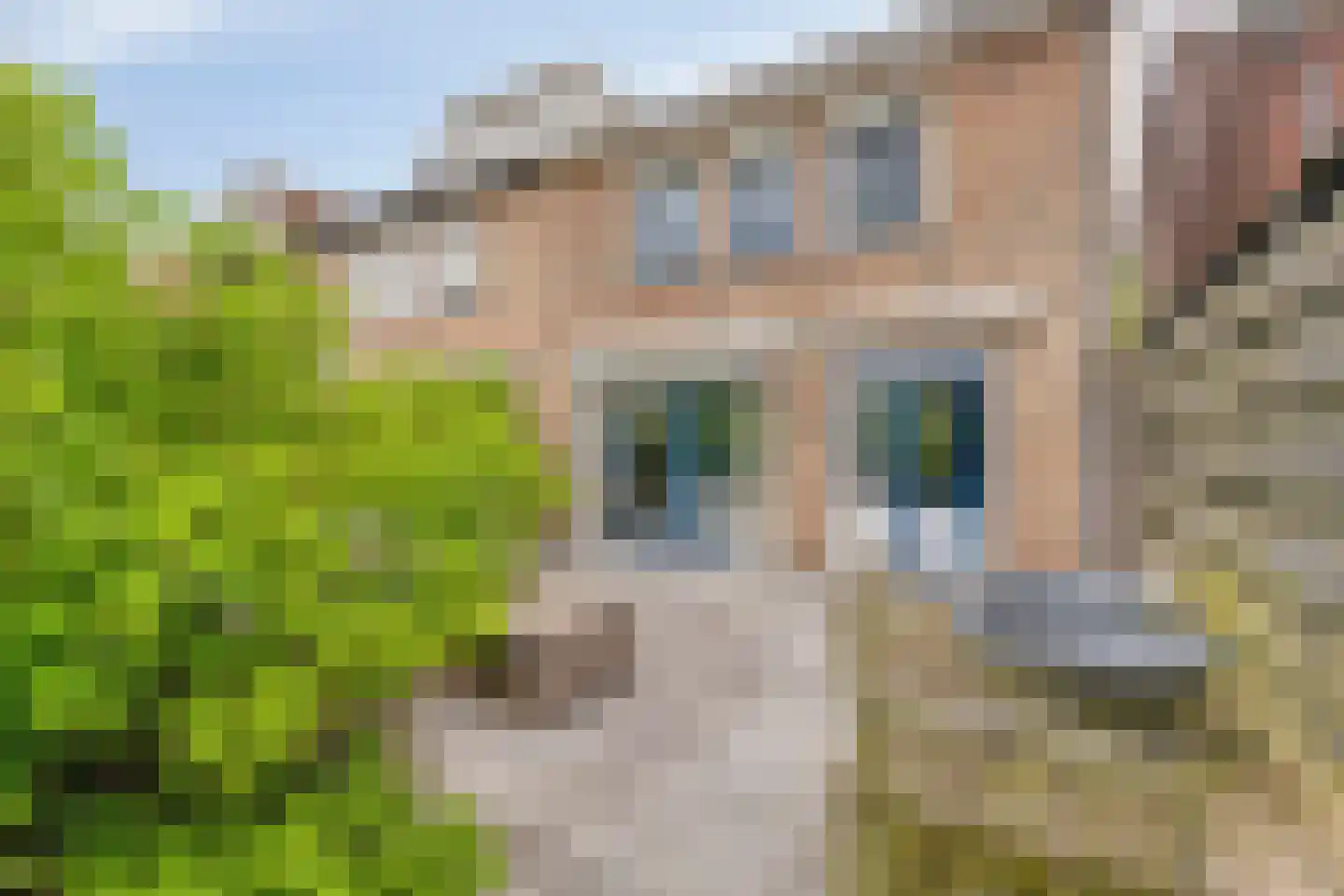 Prins Hendrikstraat 9 Willemstad thumbnail 26