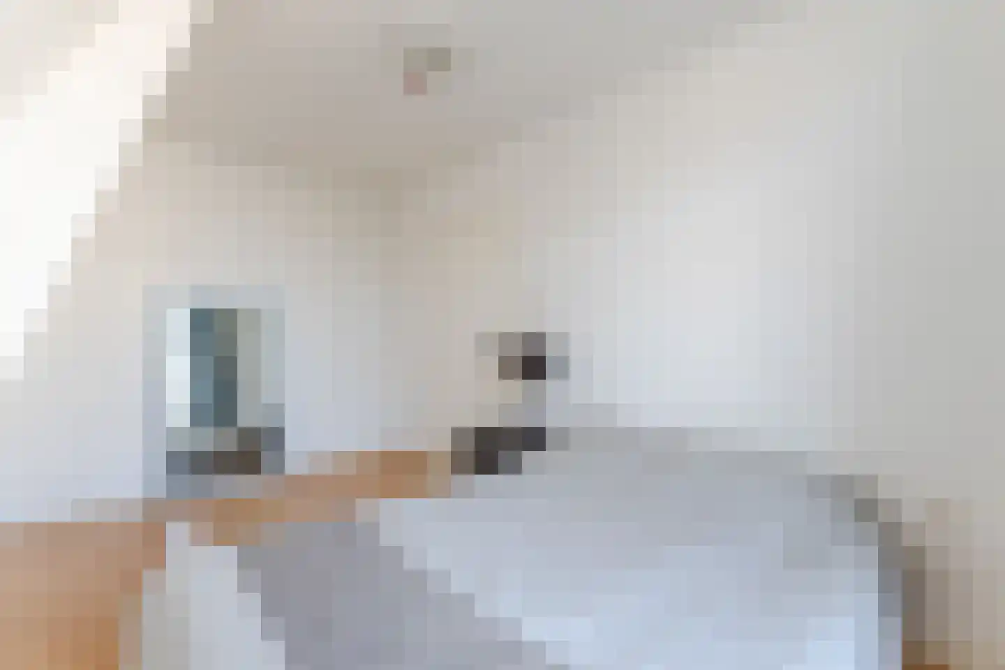 Prins Hendrikstraat 9 Zaandam thumbnail 28