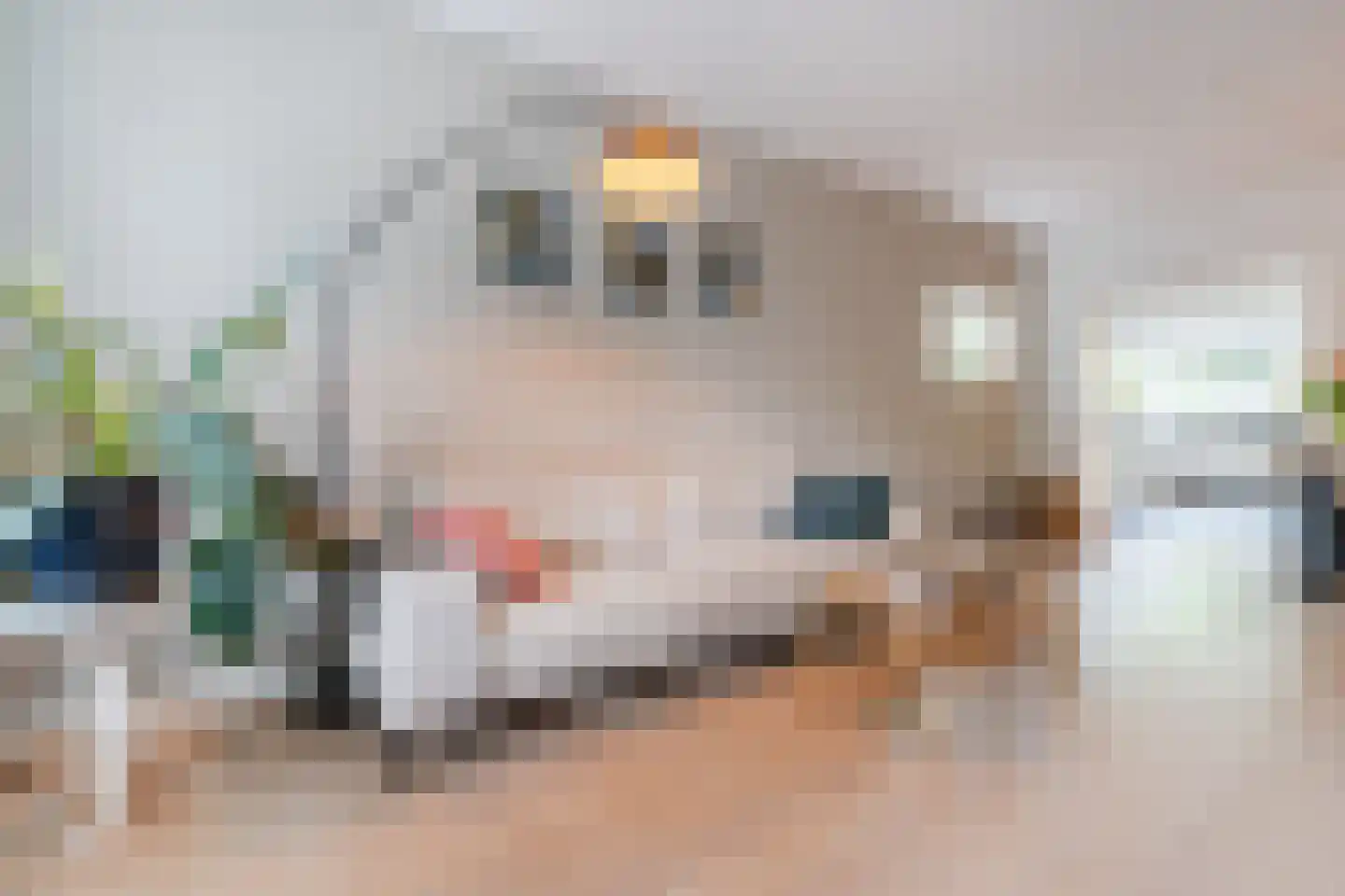 Prins Hendrikstraat 92 Breda thumbnail 16