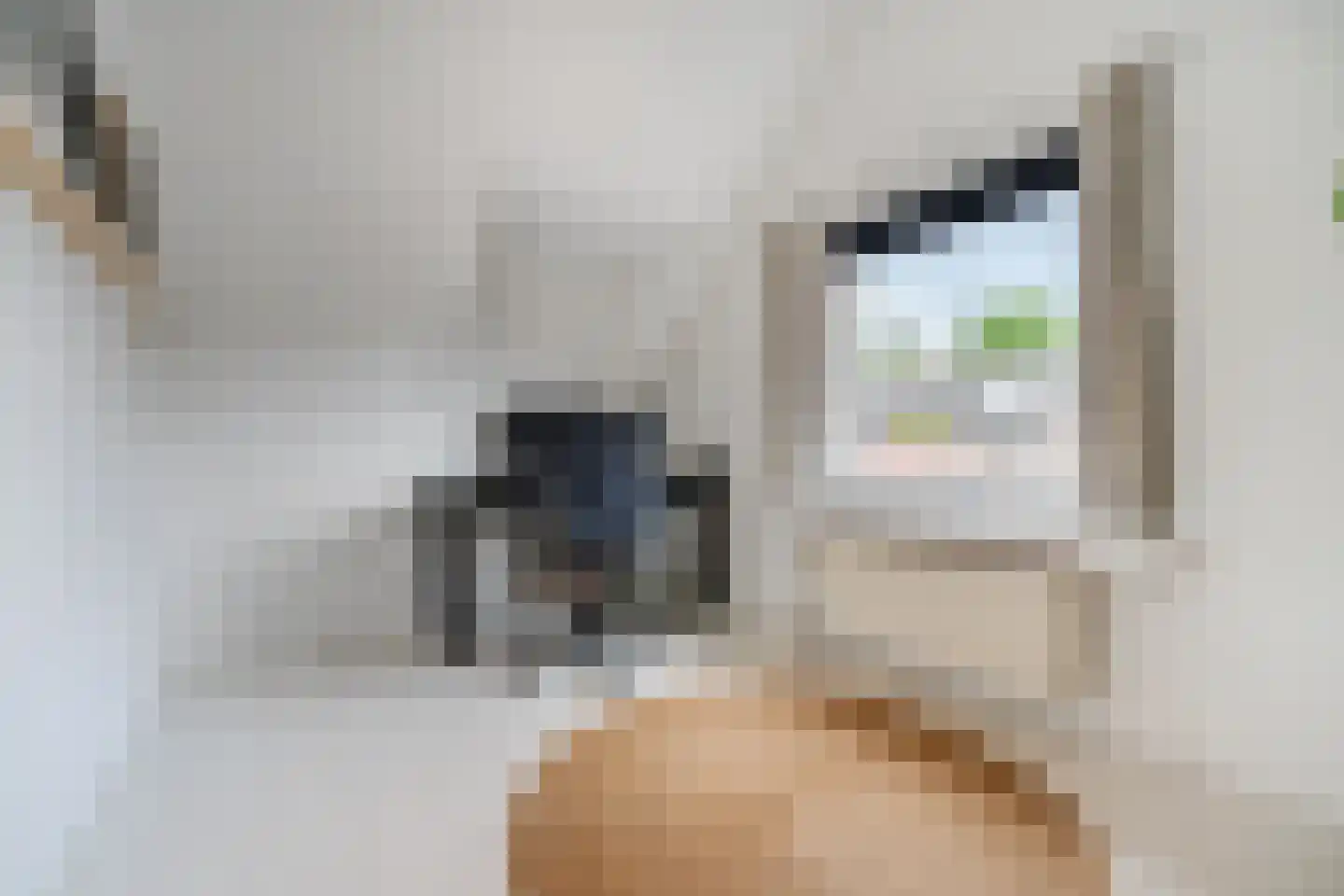 Prins Hendrikstraat 92 Breda thumbnail 35