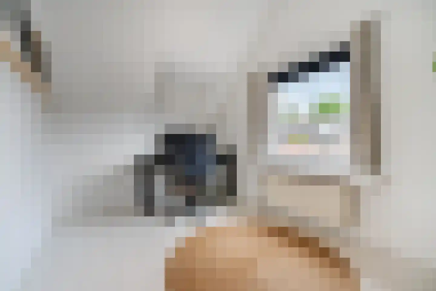 Prins Hendrikstraat 92 Breda thumbnail 37