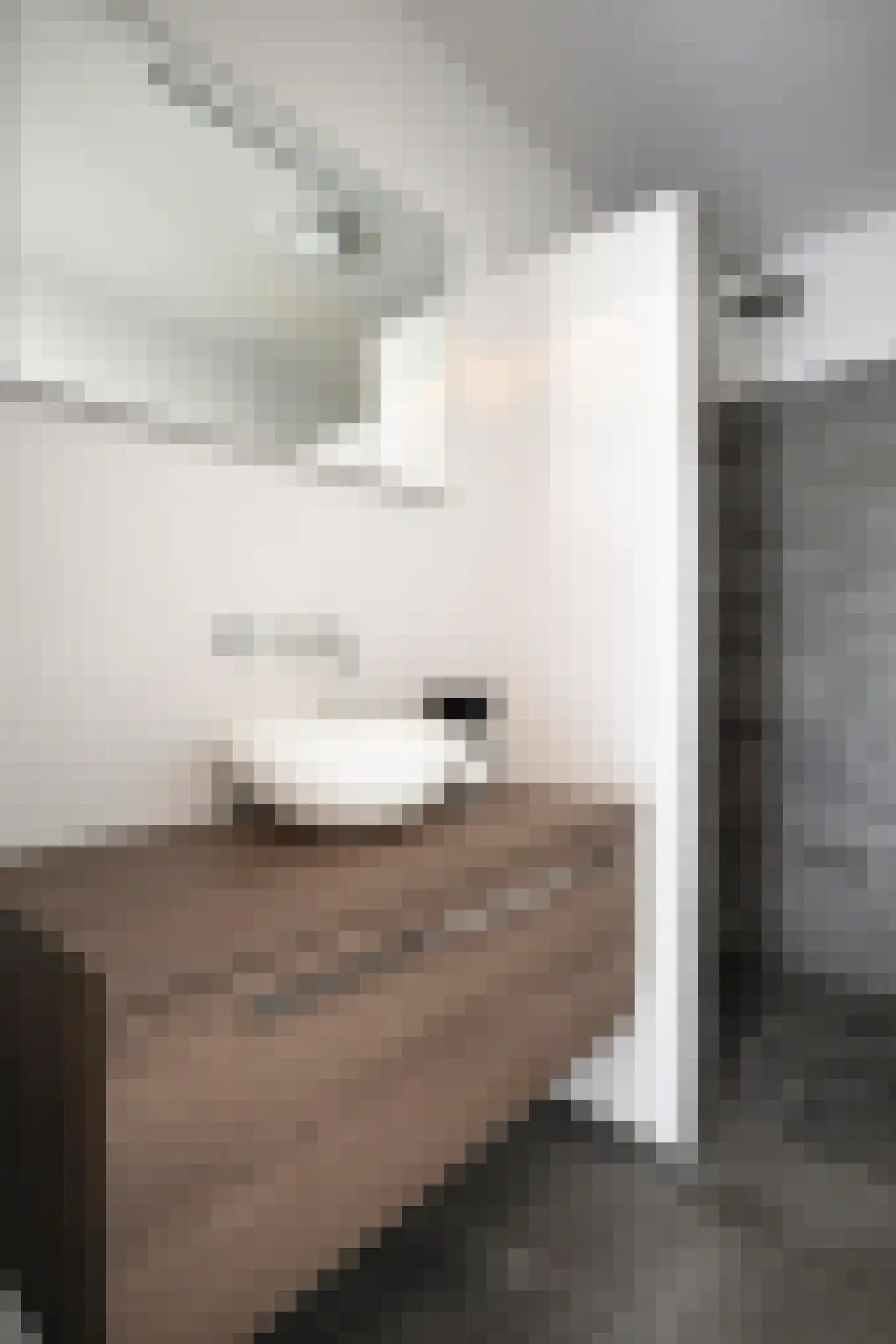 Prins Hendrikstraat 97 Eindhoven thumbnail 19