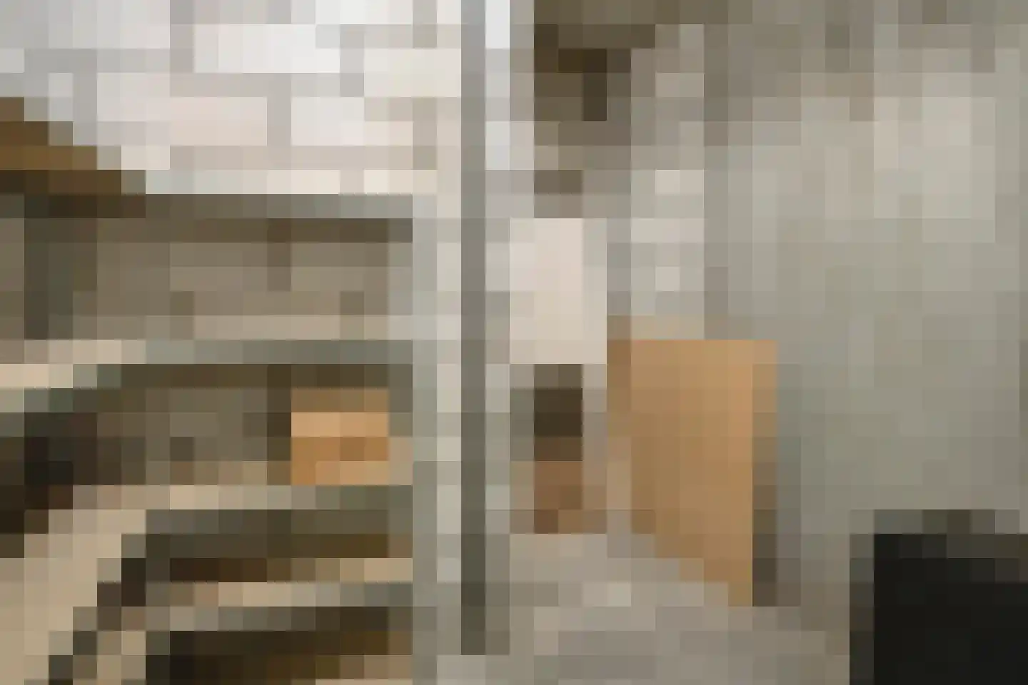 Prins Hendrikstraat 97 Eindhoven thumbnail 22