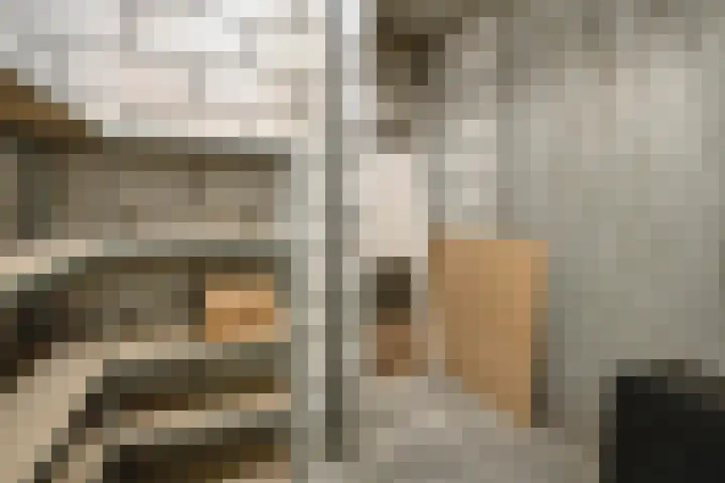Prins Hendrikstraat 97 Eindhoven thumbnail 23