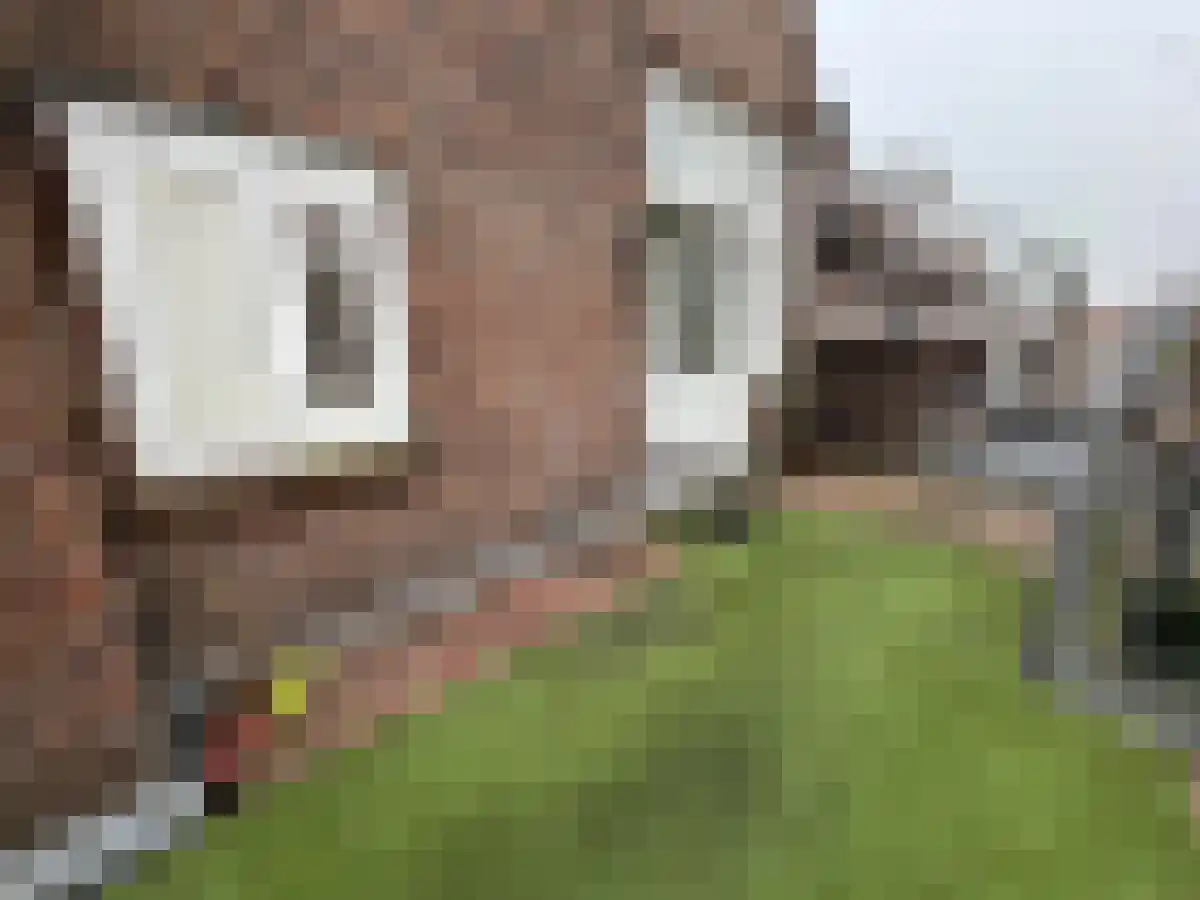 Prins Hendrikstraat Breda thumbnail 4