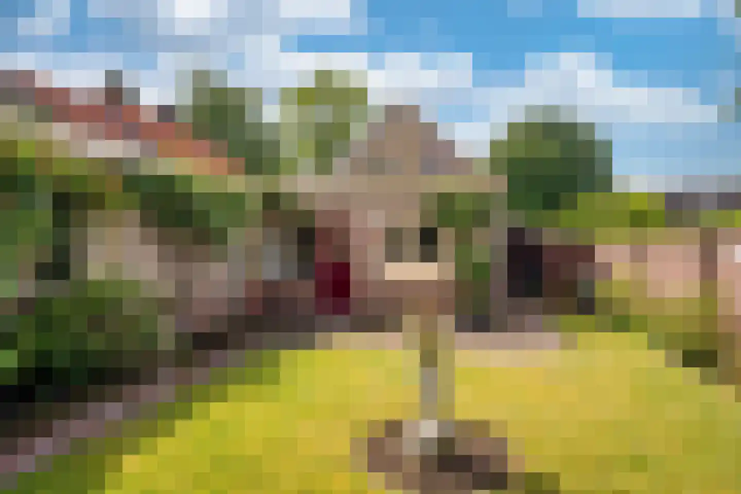 Prins Hendrikweg 12 Doorn thumbnail 29