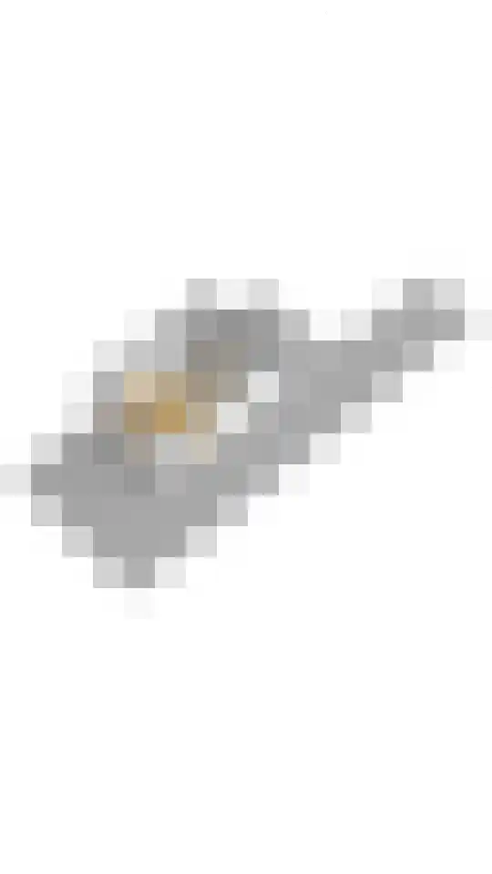 Prins Hendrikweg 15 A Putten thumbnail 42