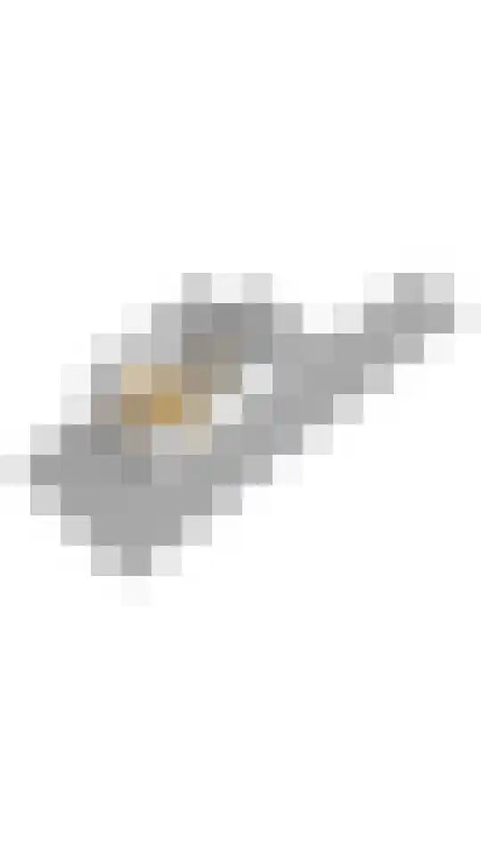 Prins Hendrikweg 15 A Putten thumbnail 43