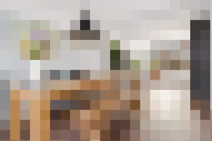 Prins Hendrikweg 19 Houten thumbnail 11