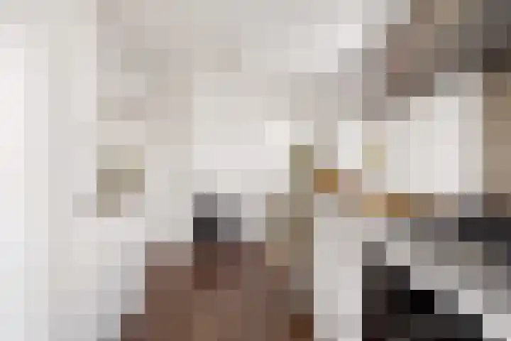 Prins Hendrikweg 19 Houten thumbnail 13