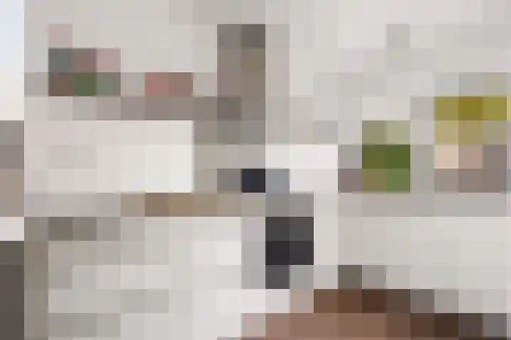 Prins Hendrikweg 19 Houten thumbnail 14
