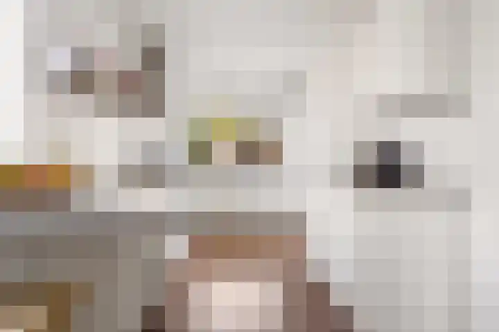 Prins Hendrikweg 19 Houten thumbnail 16