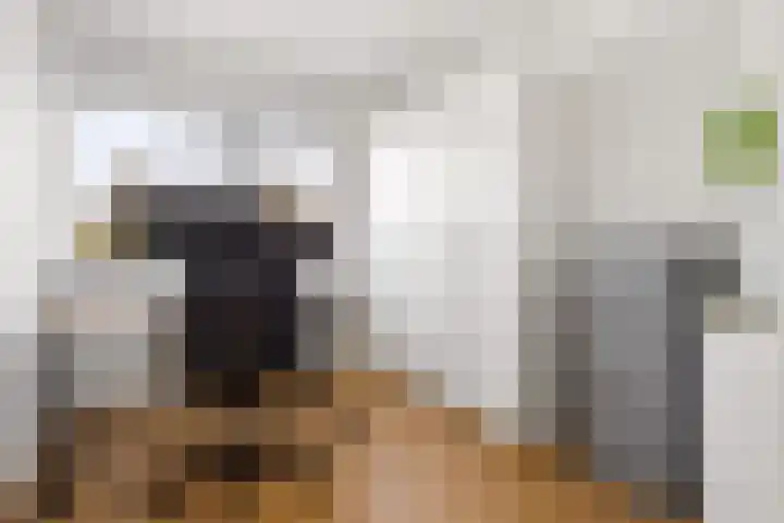 Prins Hendrikweg 19 Houten thumbnail 20