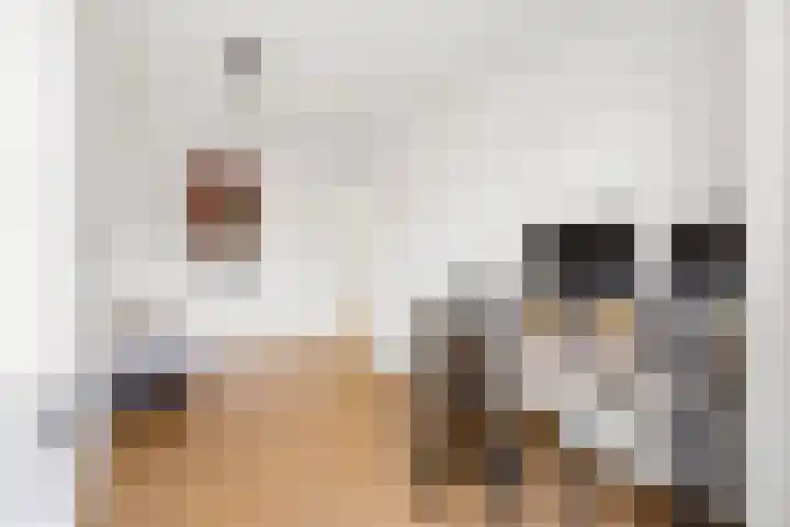 Prins Hendrikweg 19 Houten thumbnail 22