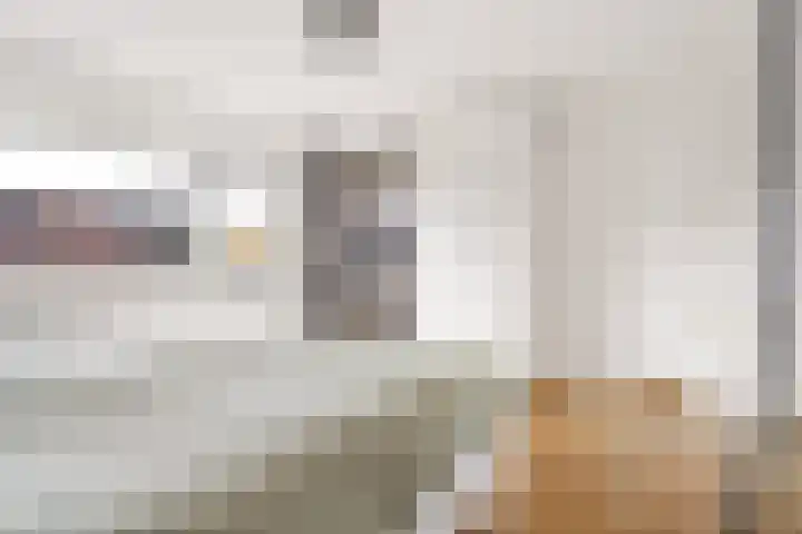 Prins Hendrikweg 19 Houten thumbnail 23
