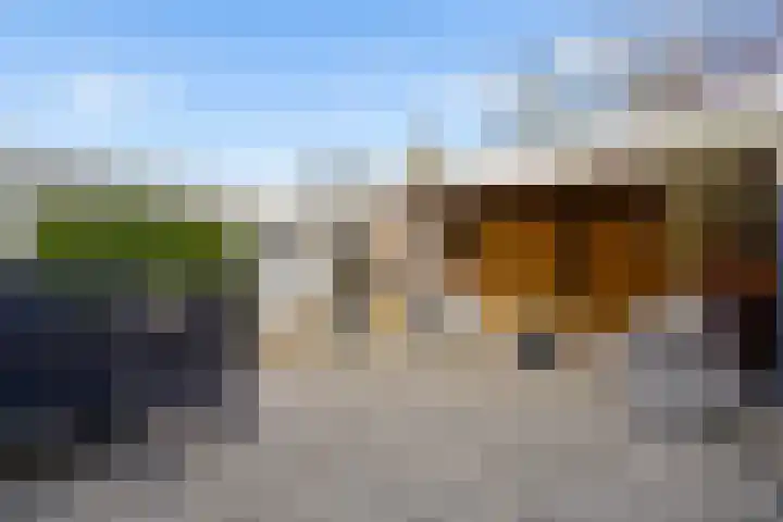 Prins Hendrikweg 19 Houten thumbnail 30