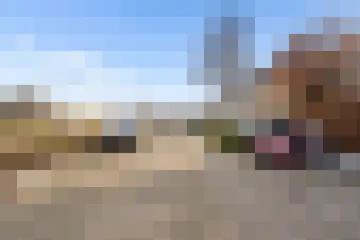 Prins Hendrikweg 19 Houten thumbnail 37