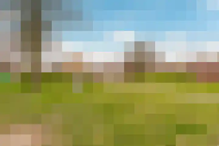Prins Hendrikweg 19 Houten thumbnail 39