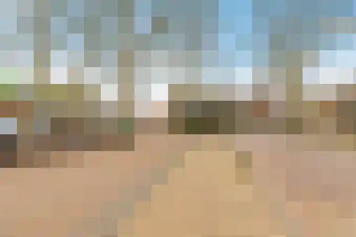 Prins Hendrikweg 19 Houten thumbnail 40