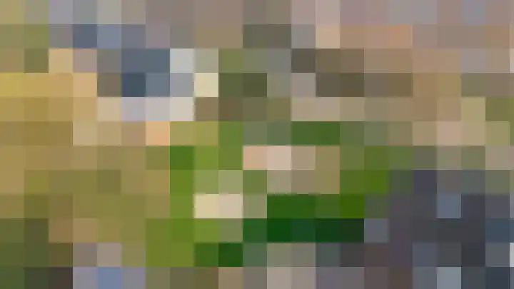 Prins Hendrikweg 19 Houten thumbnail 45