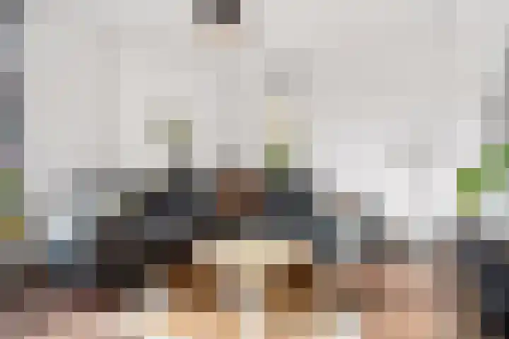 Prins Hendrikweg 19 Houten thumbnail 8