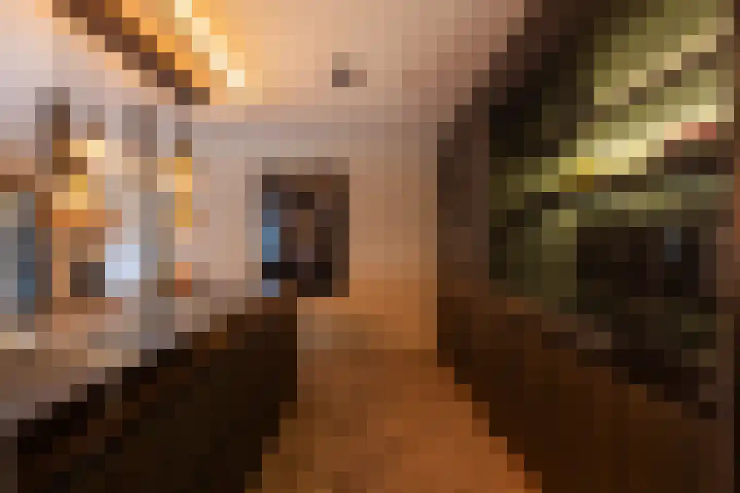 Prins Hendrikweg 2 Bennekom thumbnail 11