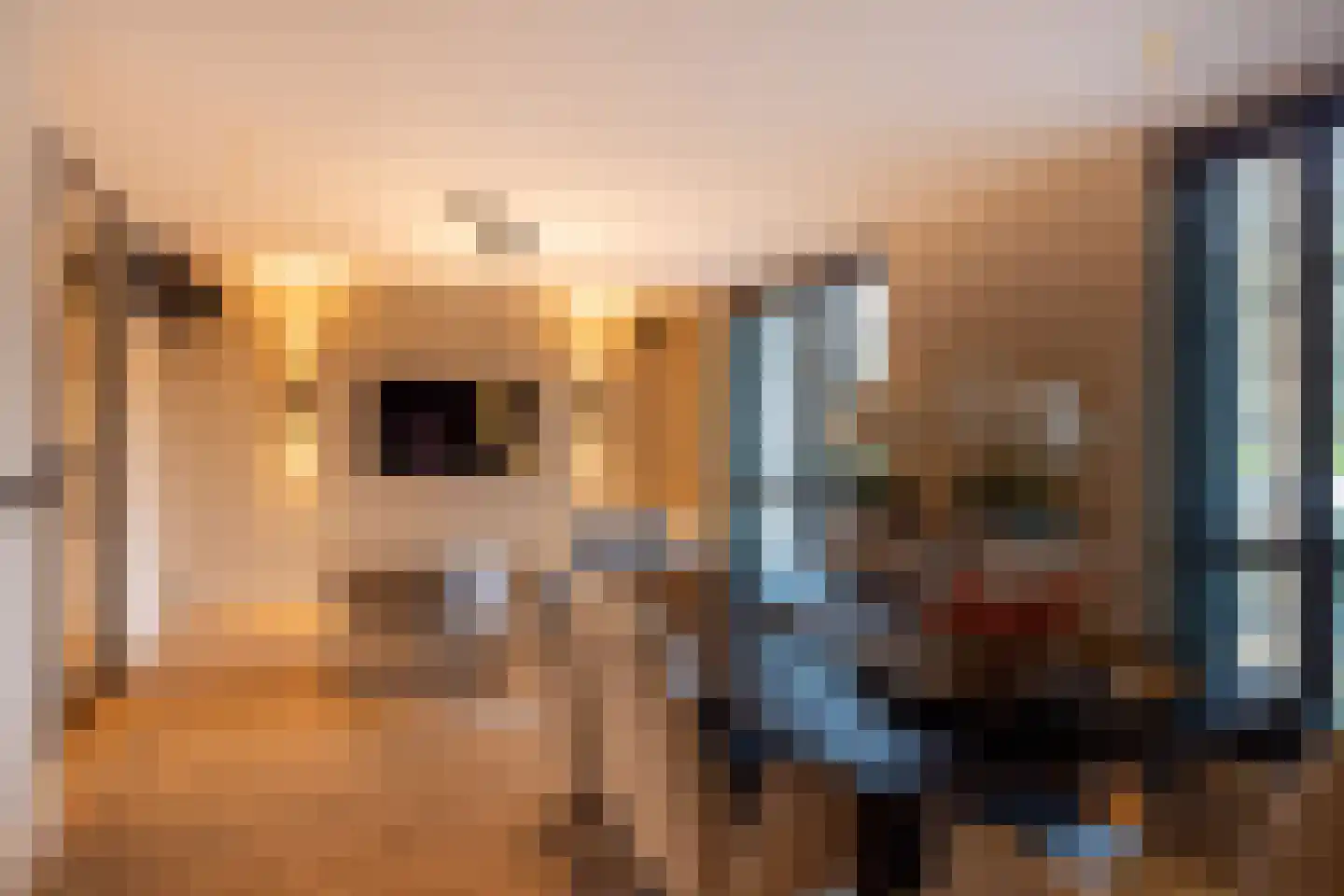 Prins Hendrikweg 2 Bennekom thumbnail 30