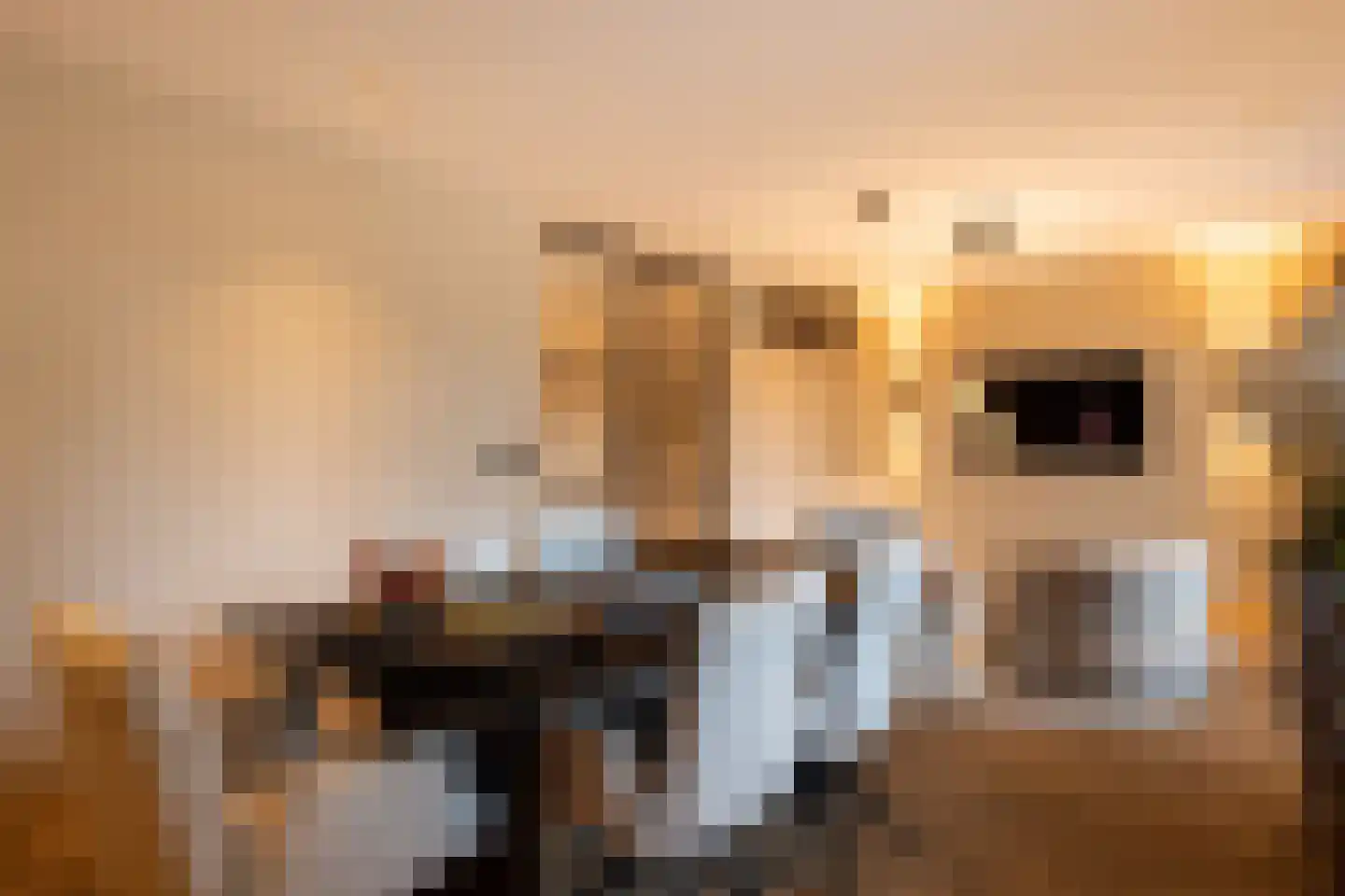 Prins Hendrikweg 2 Bennekom thumbnail 31