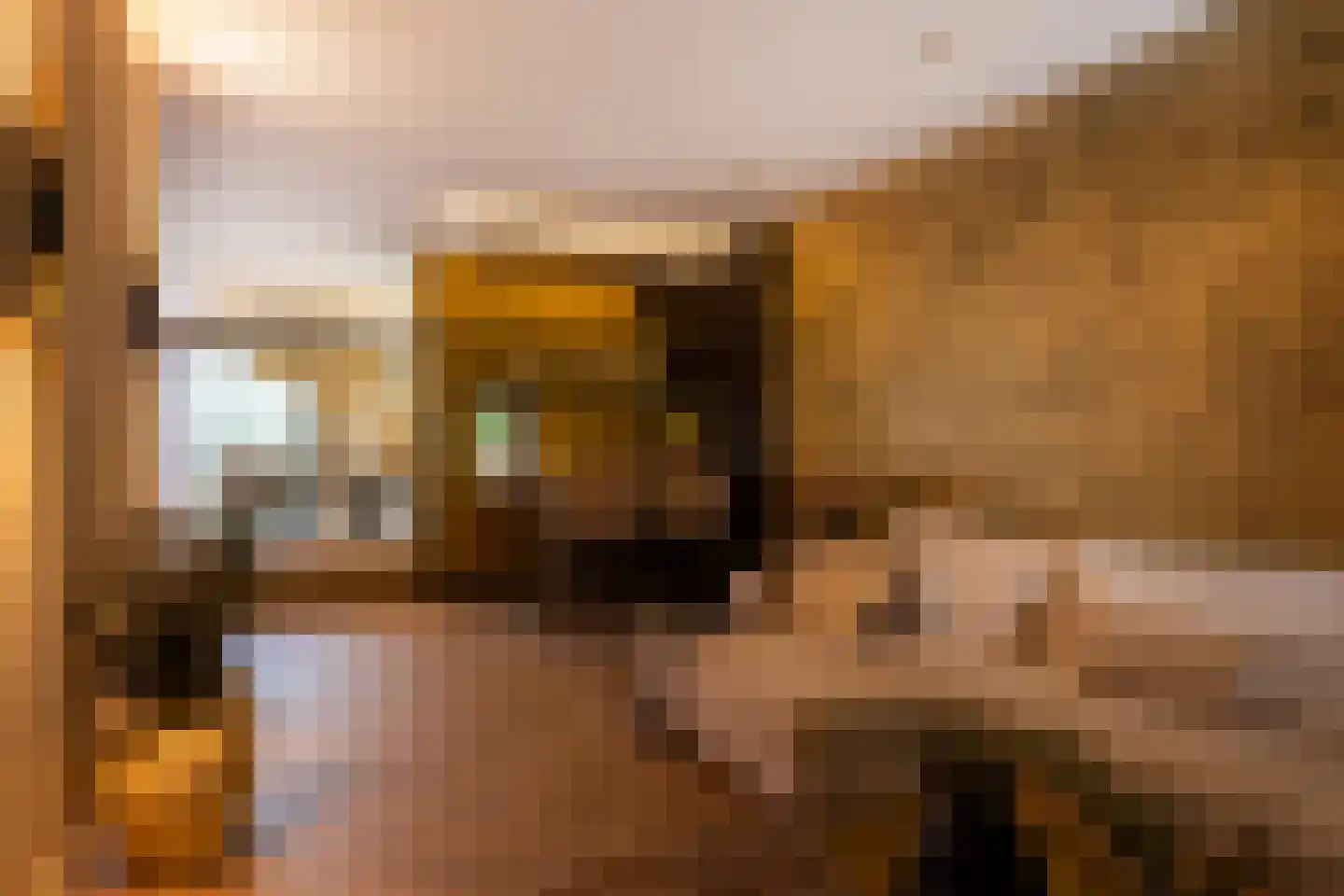 Prins Hendrikweg 2 Bennekom thumbnail 4