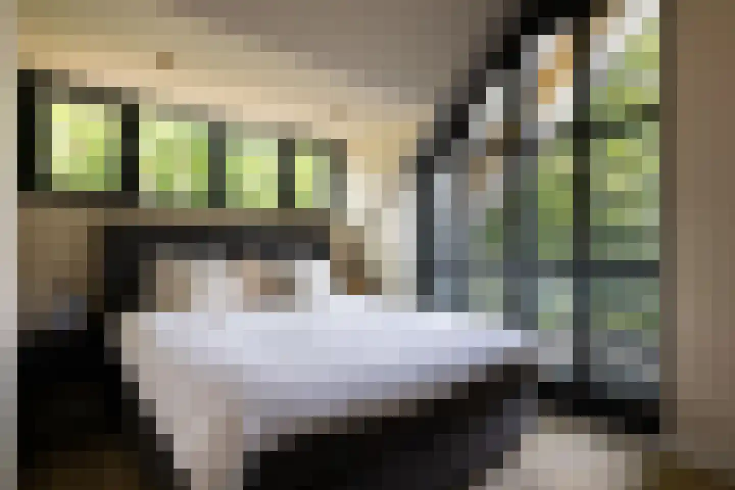 Prins Hendrikweg 2 Bennekom thumbnail 48