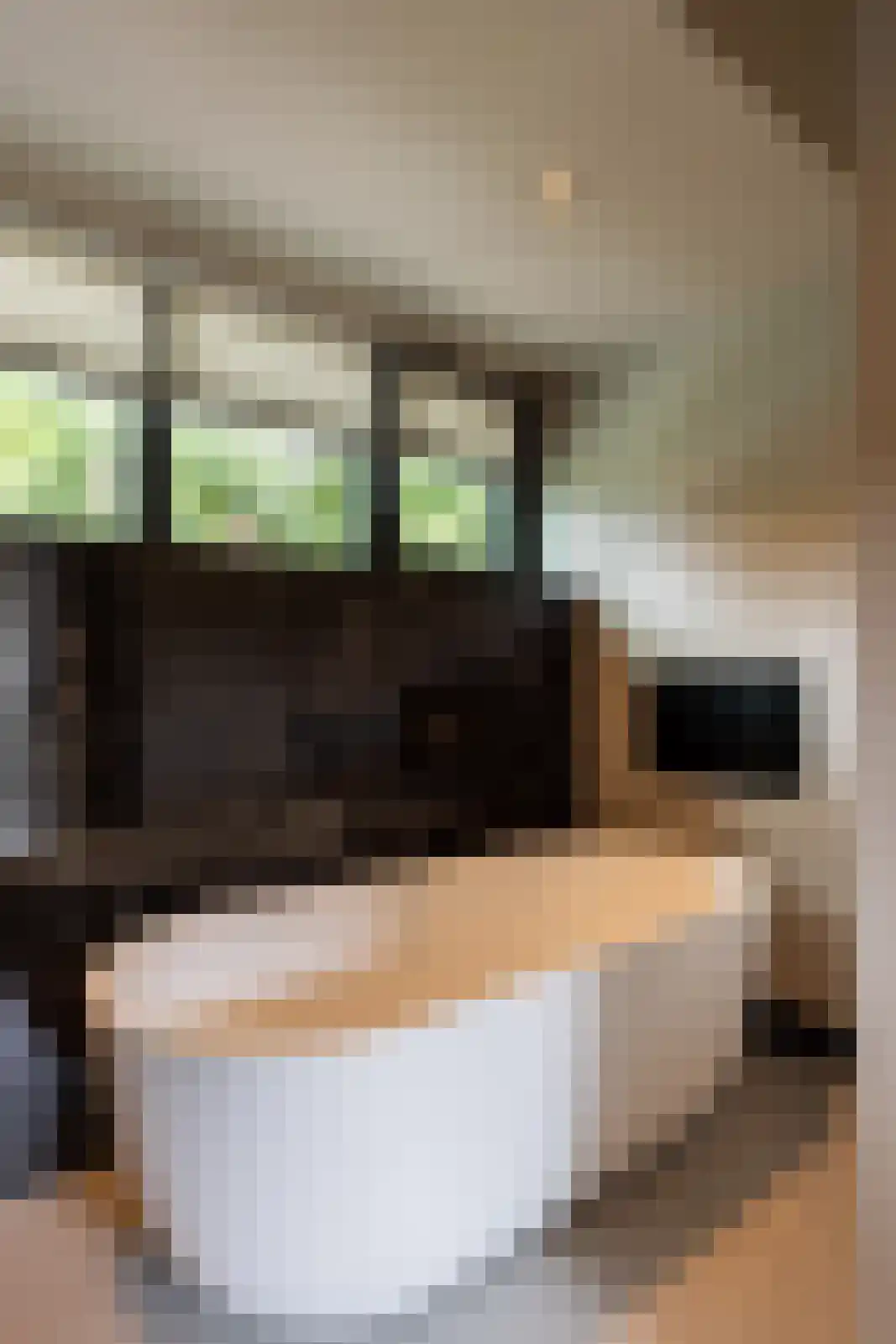 Prins Hendrikweg 2 Bennekom thumbnail 51