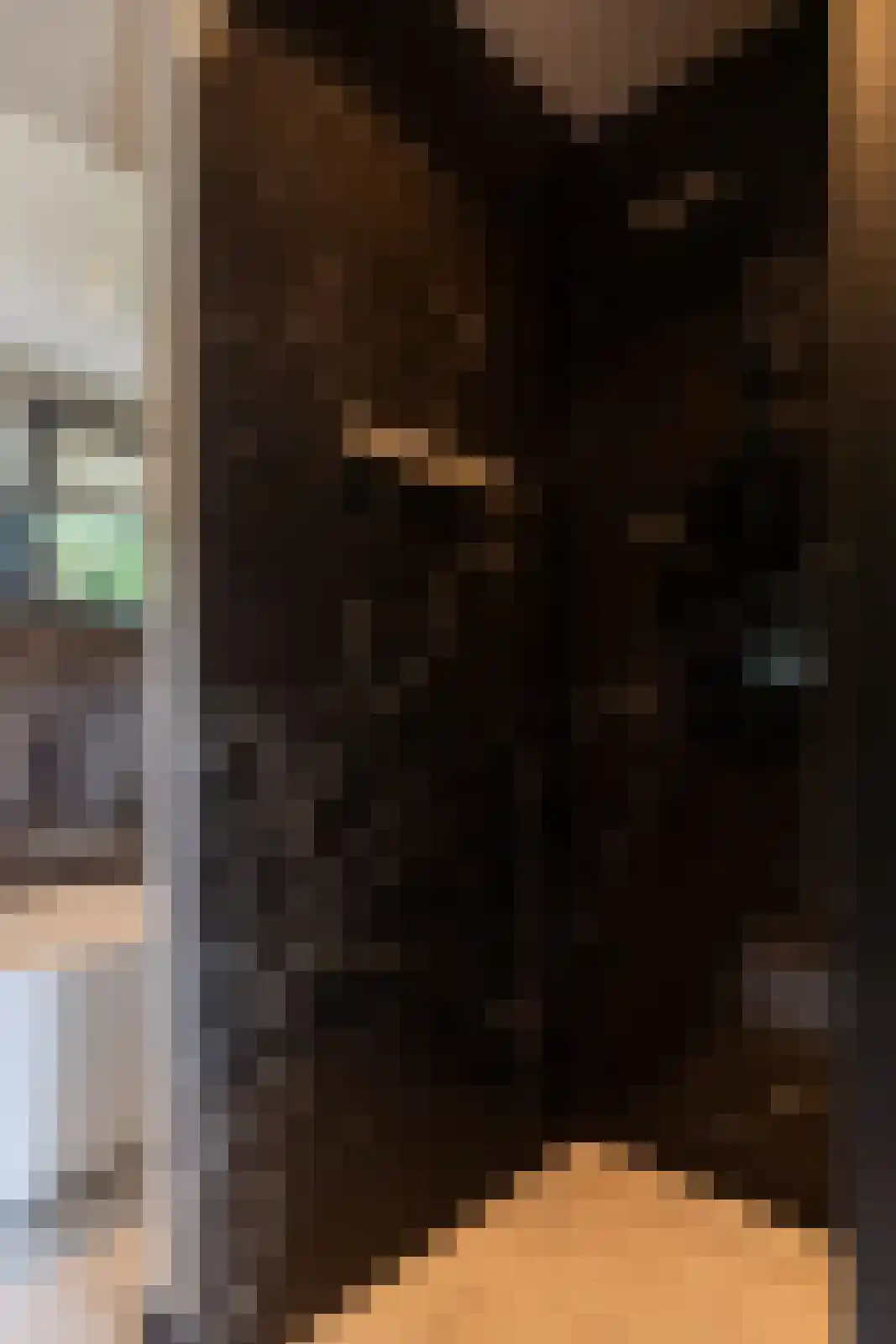 Prins Hendrikweg 2 Bennekom thumbnail 52