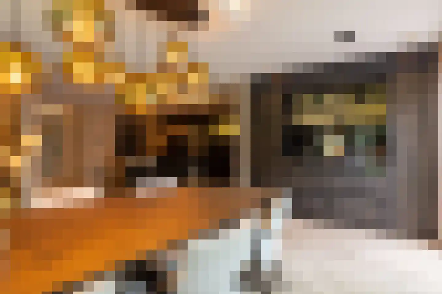 Prins Hendrikweg 2 Bennekom thumbnail 6